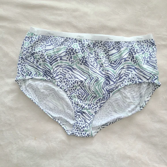 Women's Hanes Briefs Underwear Set Size 10 - Picture 2 of 10
